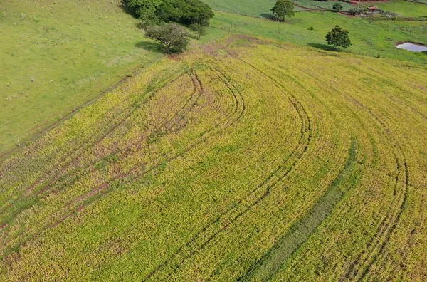 Sítio para venda,  Bairro Rural De Leopolis, Leópolis - Foto 4