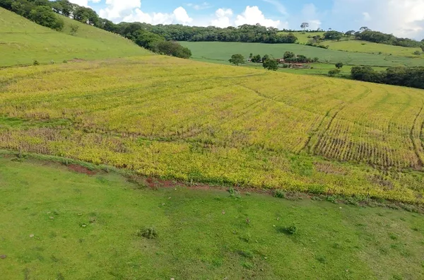 Sítio para venda,  Bairro Rural De Leopolis, Leópolis - Foto 3