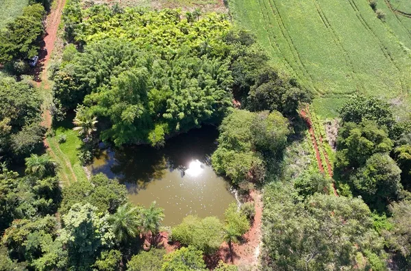 Chácara para venda,  - Selecione - Bairro, Nova América Da Colina - Foto 6