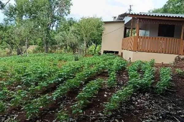 Sítio para venda, Área Rural, Concórdia