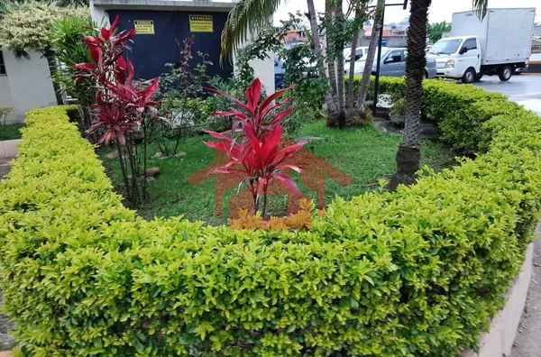 APARTAMENTO APARTAMENTO PADRÃO para venda Vila Jaraguá São Paulo