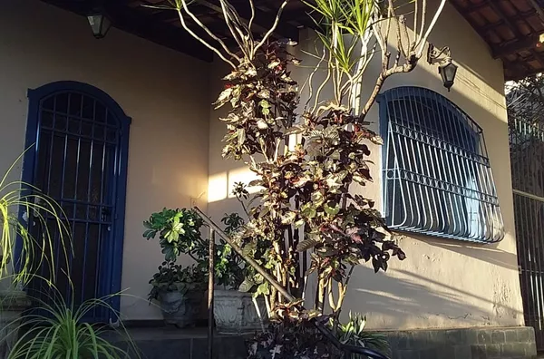 Casa para venda, 3 quarto(s),  Bom Jesus, Belo Horizonte - Foto 4