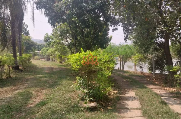 Sítio localizado no bairro  Coqueiros,  Poço Fundo ou São Luiz, no município de Jacutinga - Foto 3