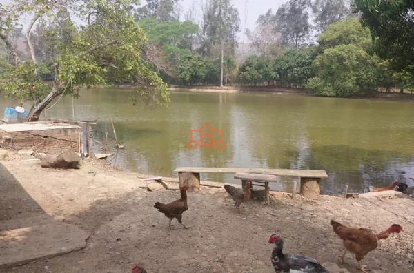 Sítio localizado no bairro  Coqueiros,  Poço Fundo ou São Luiz, no município de Jacutinga - Foto 4