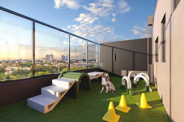 Pet place