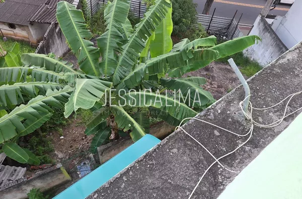 Terreno para venda,  Joana D'arc, Vitória - Foto 6