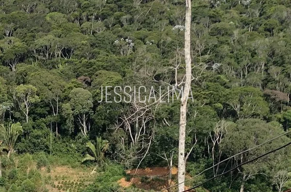 Sítio para venda,  , Marechal Floriano