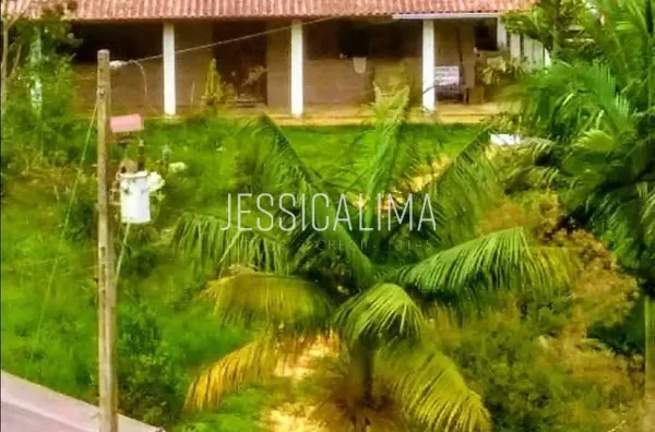 Sítio para venda, 3 quarto(s),  , Santa Maria De Jetibá - Foto 2