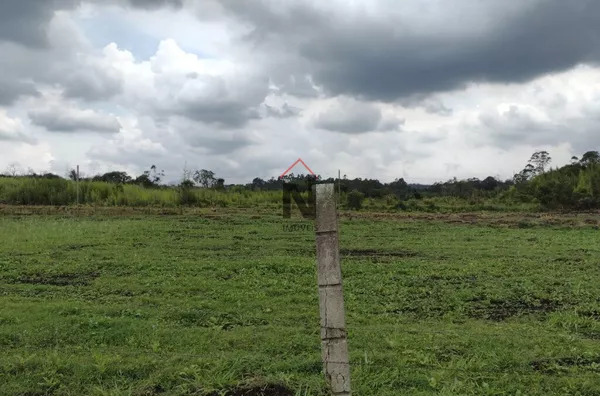 Terreno para venda,  Ipelândia, Suzano - Foto 5