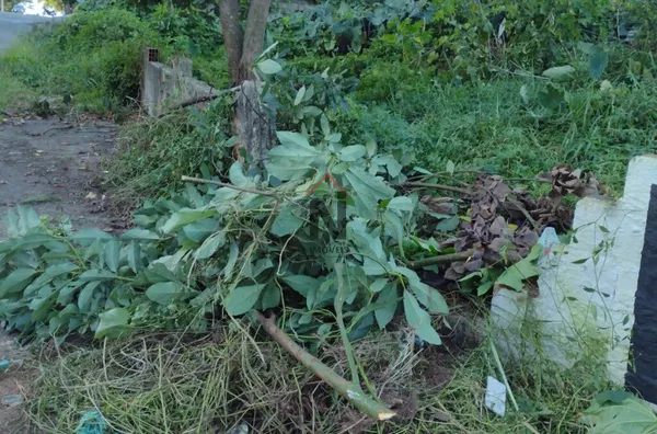 Terreno para venda,  Jardim Das Flores, Suzano