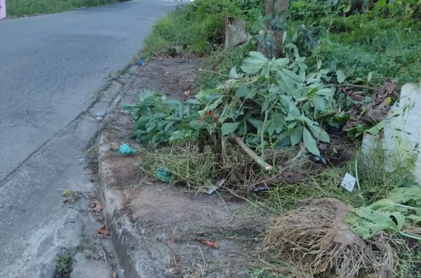 Terreno para venda,  Jardim Das Flores, Suzano