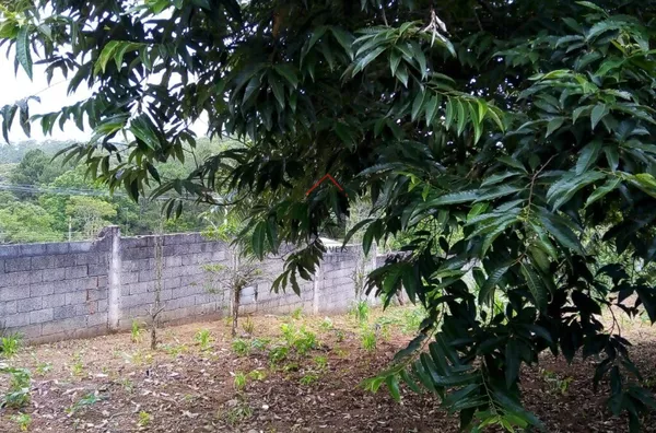 Terreno para venda,  Jardim Casa Branca, Suzano - Foto 5