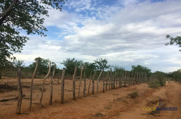 Fazenda à Venda, Floresta