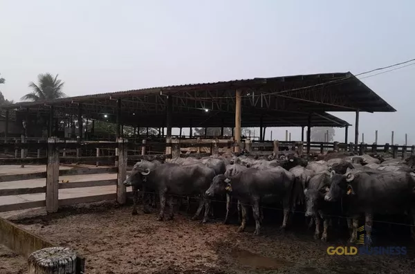 SITIO BOA ESPERANÇA, REGISTRO - SP 