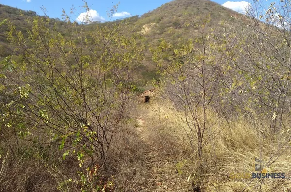 Fazenda , Boa Viagem