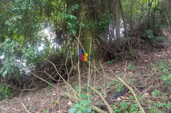Chácara para venda,  Paraíso Da Cachoeira, Mogi-guacu