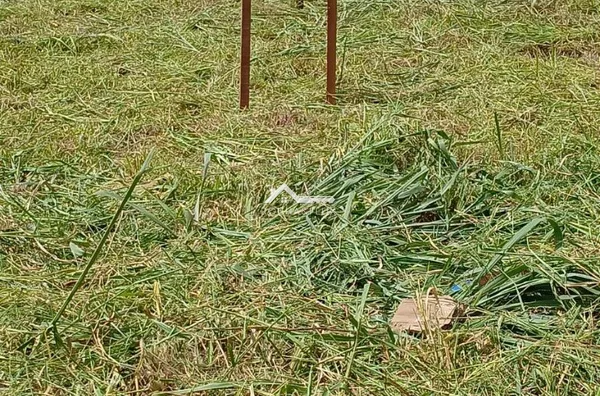 Terreno para venda,  - Selecione - Jardim Joelsa, Paranavaí