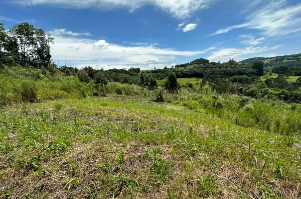 Terreno para venda,  Loteamento Porto Seguro, Herval D'oeste - Foto 2