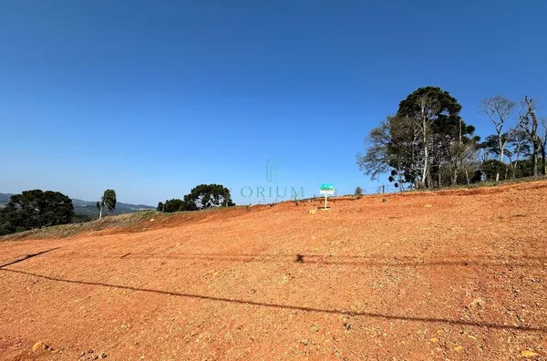 Oportunidade Única no Loteamento Reserva dos Pinheiros - Foto 4