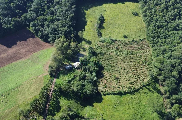 Sítio para venda,  Interior, Joaçaba - Foto 2