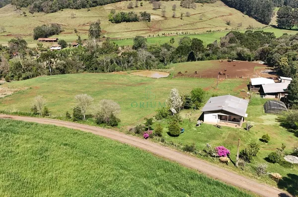 Sítio para venda,  Interior, Joaçaba - Foto 1