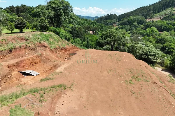 Terreno para venda,  Leãozinho, Luzerna - Foto 4