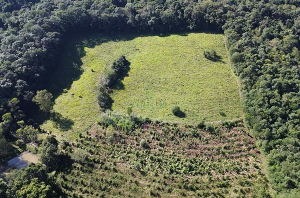Sítio para venda,  Interior, Joaçaba - Foto 6