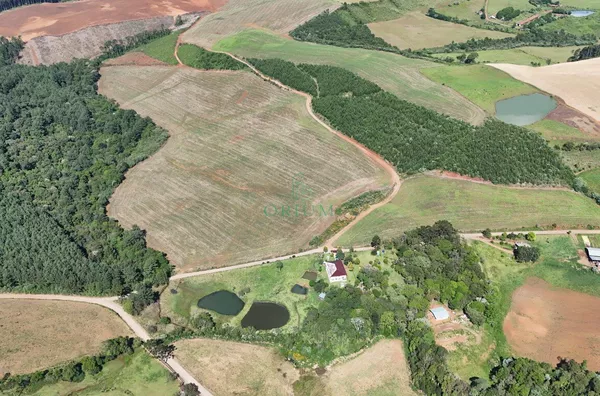 Sitio para venda,  Santa Helena, Joaçaba - Foto 5