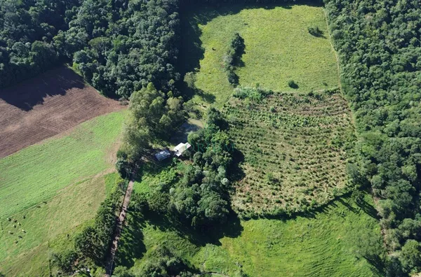 Sítio para venda,  Interior, Joaçaba - Foto 1