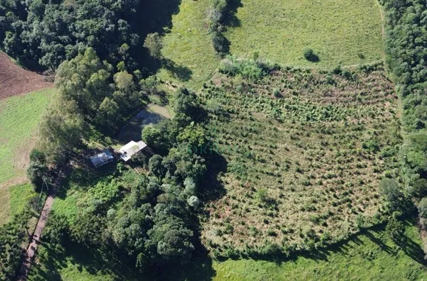 Sítio para venda,  Interior, Joaçaba - Foto 3