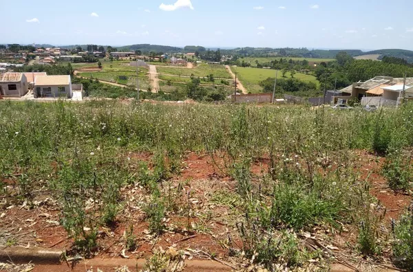 Lote para venda,  Vila São Pedro, Imbaú