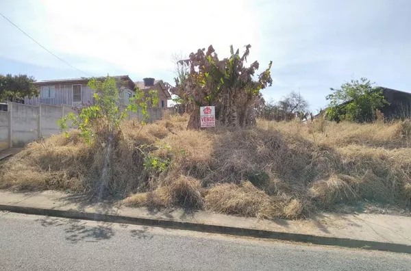 Lote de terreno urbano medindo 370,00 m², sem benfeitorias.