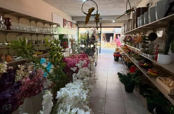 Loja comercial e apartamento para venda,  Centro, Coronel Fabriciano
