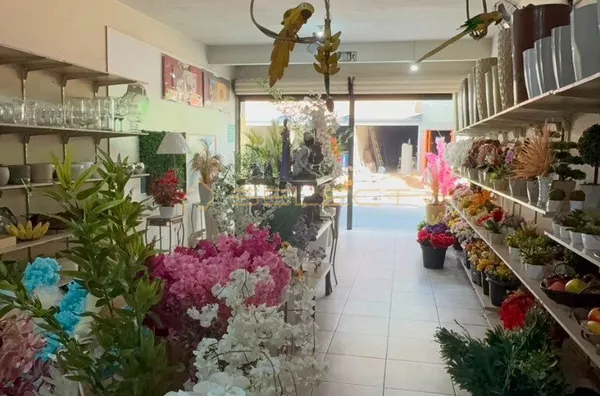 Loja comercial e apartamento para venda,  Centro, Coronel Fabriciano