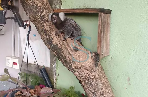 CHÁCARA EM ARAÇOIABA DA SERRA 
