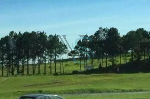 Área para venda e aluguel - Rodovia Raposo Tavares