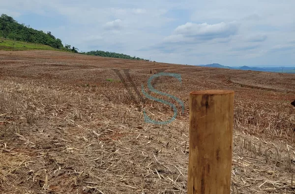? SÍTIO À VENDA ou ALUGA