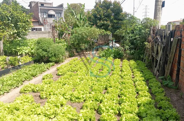 Terreno para venda,  Jardim Antônio Rodrigues E Rodrigues, Votorantim