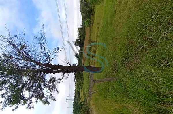 Comercial para venda, 4 quarto(s),  Bairro Jurupara, Piedade