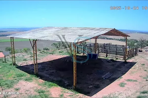 Sítio à Venda ou aluga  – 28 Alqueires – Casa Branca/SP – Tambaú/SP