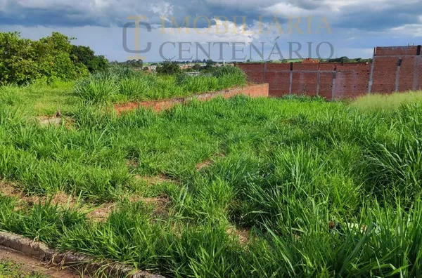 Terreno à Venda, Jardim Amélia Dionísio , Olímpia-SP - Foto 2