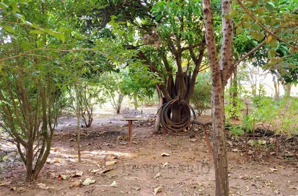 Sítio à venda,  área Rural de Olímpia, Olímpia/SP - Próximo a Kimberlit - Foto 3