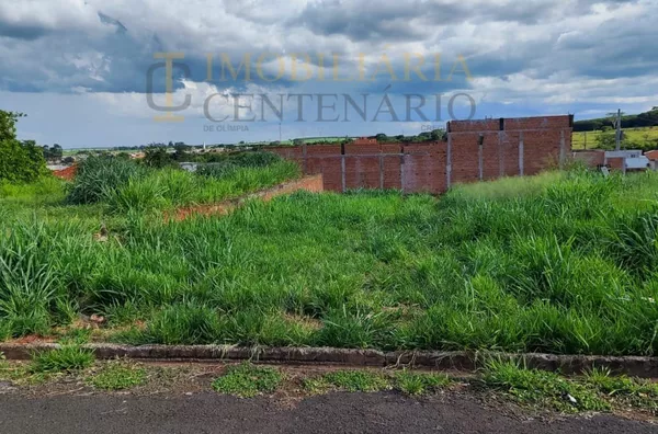 Terreno à Venda, Jardim Amélia Dionísio , Olímpia-SP - Foto 1