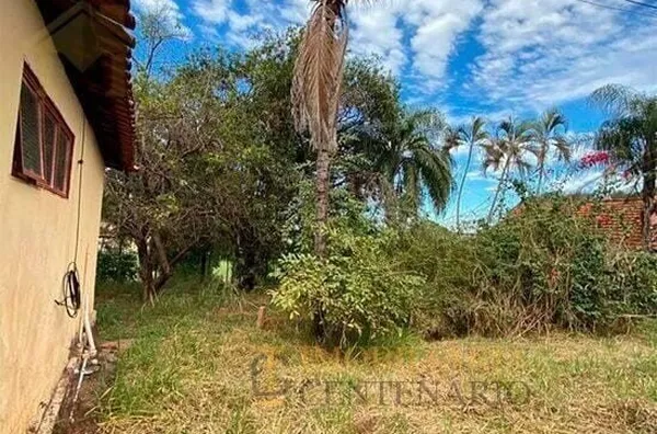 Chácara à venda,  - Jardim blanco, Olímpia/SP - Foto 3