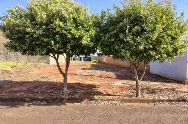 Terreno à Venda, Parque Villa Lobos, Olímpia/SP - Foto 3