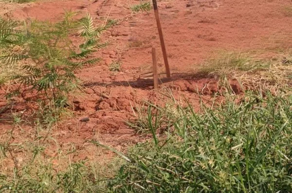 Terreno Misto à venda, no Bairro Jardim Leonor, Olímpia/SP - Foto 3