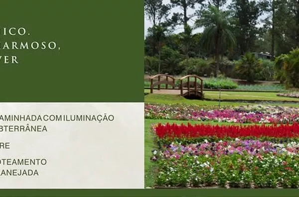 382m² próximo ao Jardim Botânico de Olímpia - Foto 6