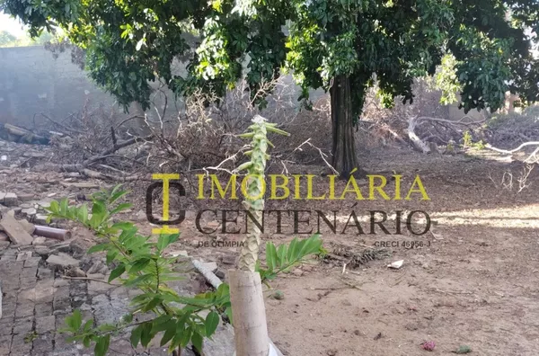 Terreno à venda,  Jardim Glória, Olímpias/SP - Foto 3