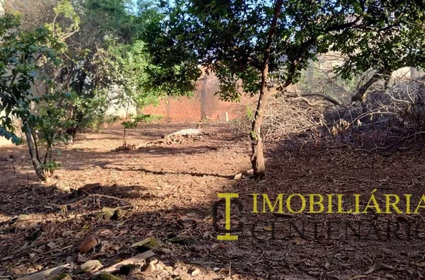 Terreno à venda,  Jardim Glória, Olímpias/SP - Foto 2