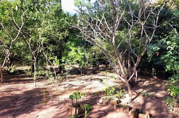 Sítio à venda,  área Rural de Olímpia, Olímpia/SP - Próximo a Kimberlit - Foto 4